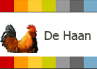 Bezoek de website van De Haan Bezoek de website van de gemeente De Haan